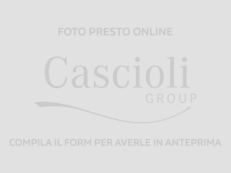 Cascioli Group